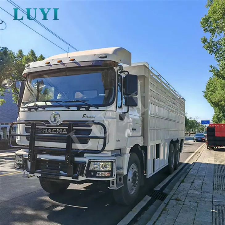 6x4 Shacman Delong F3000 Șasiu camion greu-