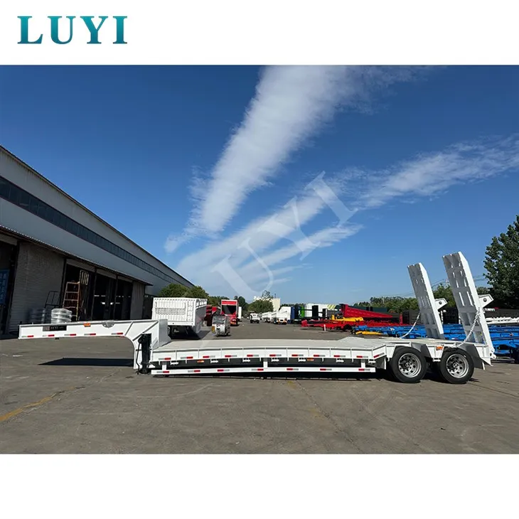 Două camioane cu gâscă cu oxă joasă semi -camion